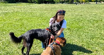 tifaine pet sitter à LE POET LAVAL 26160