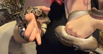 floriana pet sitter à POLLIONNAY 69290_4