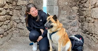 catherine pet sitter à HOLTZHEIM 67810