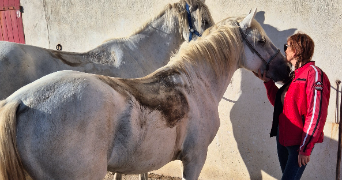 patricia pet sitter à HYERES 83400_1
