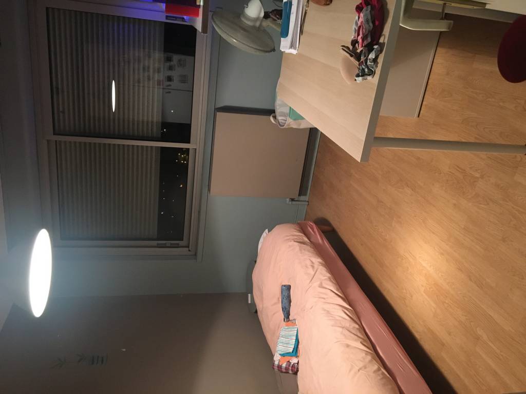 Jade pet sitter à Doussard 74210_2