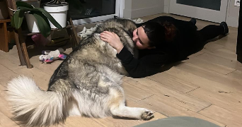 emma pet sitter à LILLE 59000_3