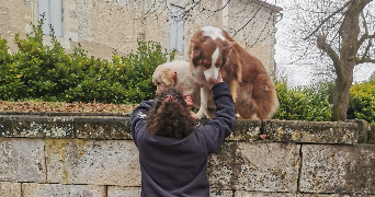 benedicte pet sitter à BORDEAUX 33000_0