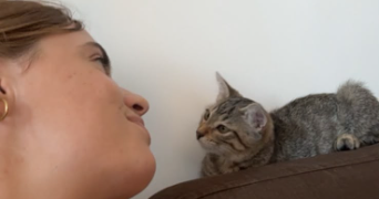 sandra pet sitter à MARSEILLE 09 13009_4
