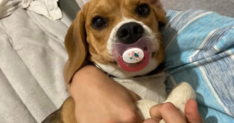 marlène pet sitter à VEZERONCE CURTIN 38510_4