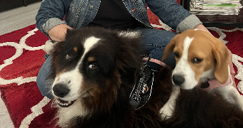 sandra pet sitter à CLAYE SOUILLY 77410_9