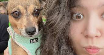 anissa pet sitter à MONTPELLIER 34070_3