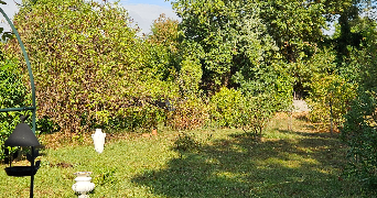 manon pet sitter à Saint-Julien-Les-Rosiers 30340_3