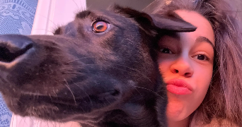 chloé pet sitter à MORTAGNE SUR SEVRE 85290_1