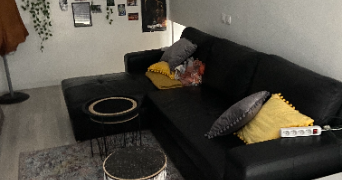 enzo pet sitter à PIERREFITTE SUR SEINE 93380_8