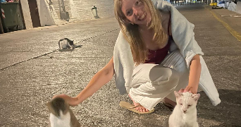 morgane pet sitter à MOLSHEIM 67120_1