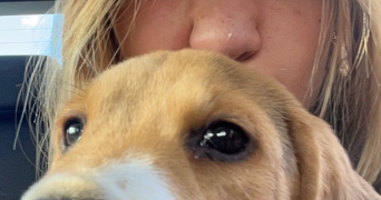 valentine pet sitter à BORDEAUX 33000_3