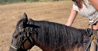 laurine pet sitter à LYON 06 69006_1