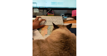 delphine pet sitter à BORDEAUX 33300_6