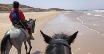 manon pet sitter à ROUBAIX 59100_5