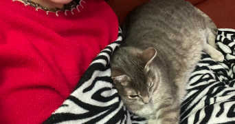 chloé pet sitter à TOULOUSE 31000_2