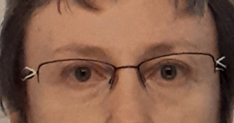 véronique pet sitter à LE BUGUE 24260_0