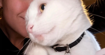 tiphaine pet sitter à SCHEIBENHARD 67630_0