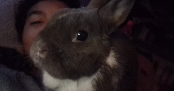 léonie pet sitter à SENLIS 60300_3