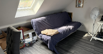 alexandre cat sitter à FACHES THUMESNIL 59155_2