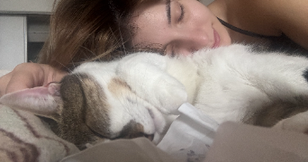 meriem pet sitter à ST CYR L ECOLE 78210_3
