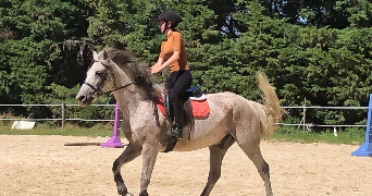 léa pet sitter à Montélimar 26200_0