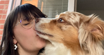 aline pet sitter à LIEVIN 62800_2