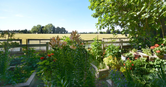 maéva et bryan pet sitter à ALTHEN DES PALUDS 84210_8