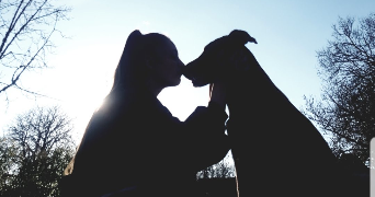 tao pet sitter à TOULOUSE 31000_6