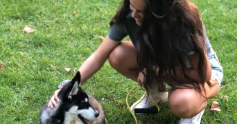 delphine pet sitter à ABONDANCE 74360_4