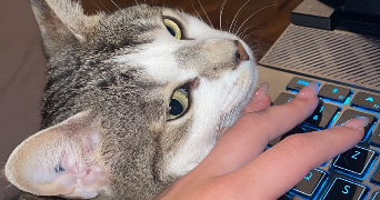 noémie pet sitter à Paris 75015_1