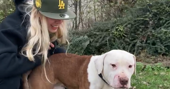 sacha pet sitter à NEUILLY PLAISANCE 93360_0