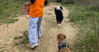 eloïse pet sitter à MONTPELLIER 34000_4