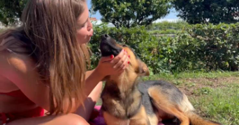 charlotte pet sitter à PARIS 20 75020_3