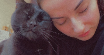 ambre pet sitter à VALLET 44330_2