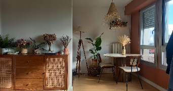 marine pet sitter à COURBEVOIE 92400_2