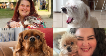 gabriele pet sitter à ROMAINVILLE 93230_1