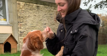 lénaïs pet sitter à Beauvoir sur mer 85230_3