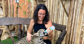 eloyse pet sitter à ST ANDRE 81250_0