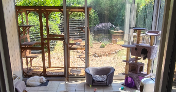 florence pet sitter à OLIVET 45160_3