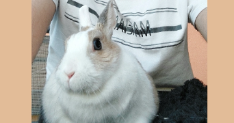 camil pet sitter à PARIS 11 75011_2