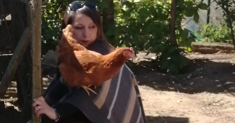 angelique pet sitter à VIELVERGE 21270_4
