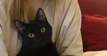 morgane pet sitter à PARIS 17 75017_3