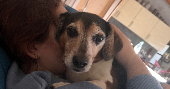 chloé pet sitter à BOIS COLOMBES 92270_1