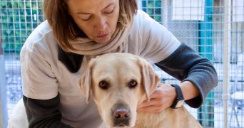 natalia dog sitter à ROMAINVILLE 93230_1