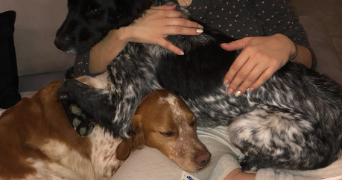 laurence pet sitter à VITROLLES 13127_1