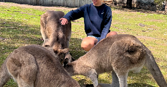 camille pet sitter à MONTASTRUC LA CONSEILLERE 31380_1