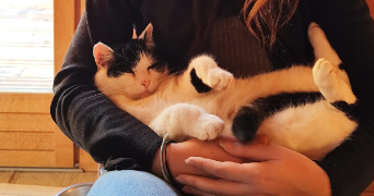 tessa pet sitter à PARIS 13 75013_4