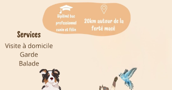 charlotte pet sitter à Beauvain 61600_4