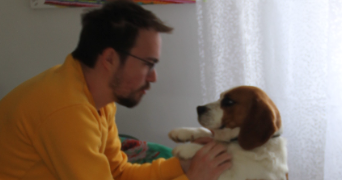 baptiste pet sitter à WILLEMS 59780_0